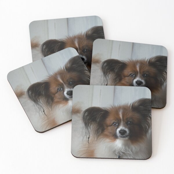 Item preview, Papillon designed and sold by JadeRiverImages.
