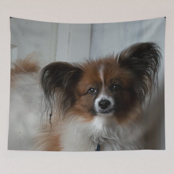 Item preview, Papillon designed and sold by JadeRiverImages.