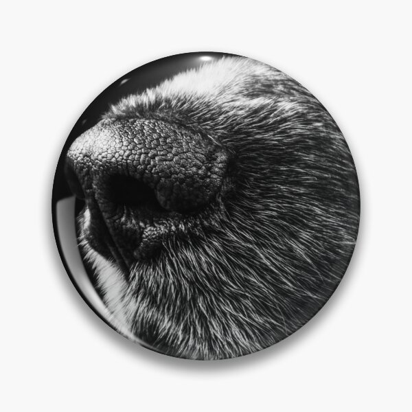 Item preview, Sacred Snoot designed and sold by Ashley L..