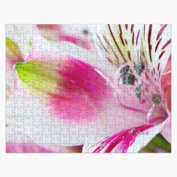 Bright, White and Pink Jigsaw Puzzle