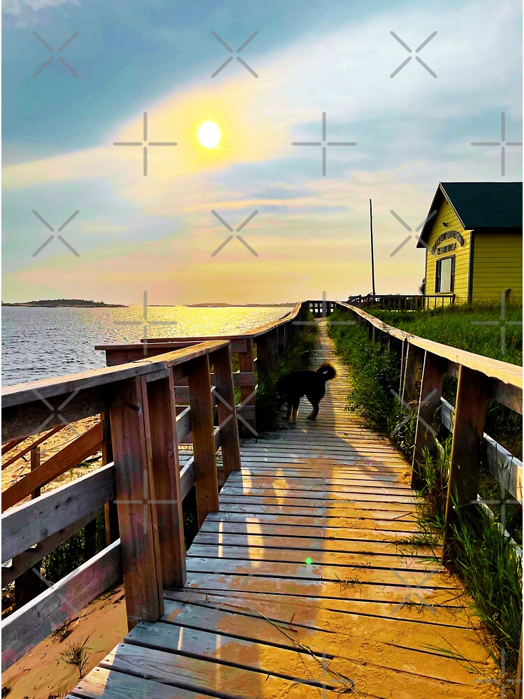 "I love Natashquan" Sticker for Sale by mptresart Redbubble