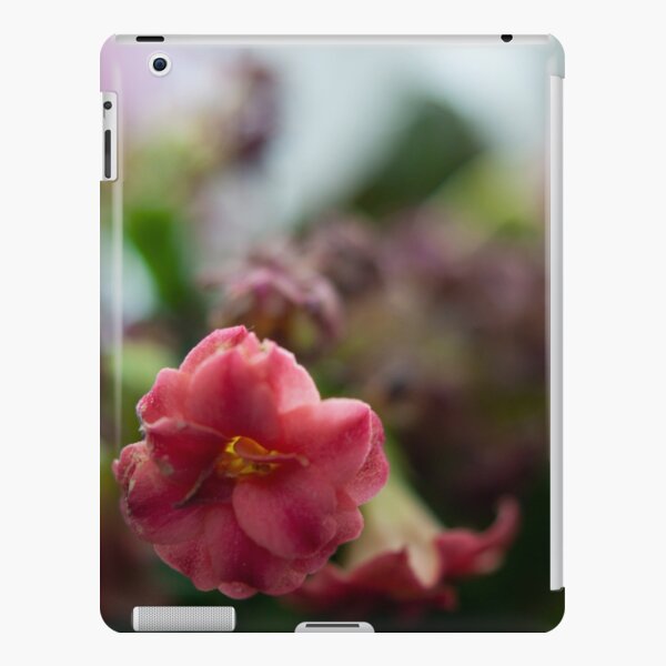 Softly growing iPad Snap Case