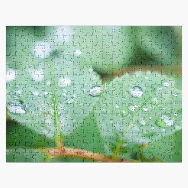 After the rainfall Jigsaw Puzzle