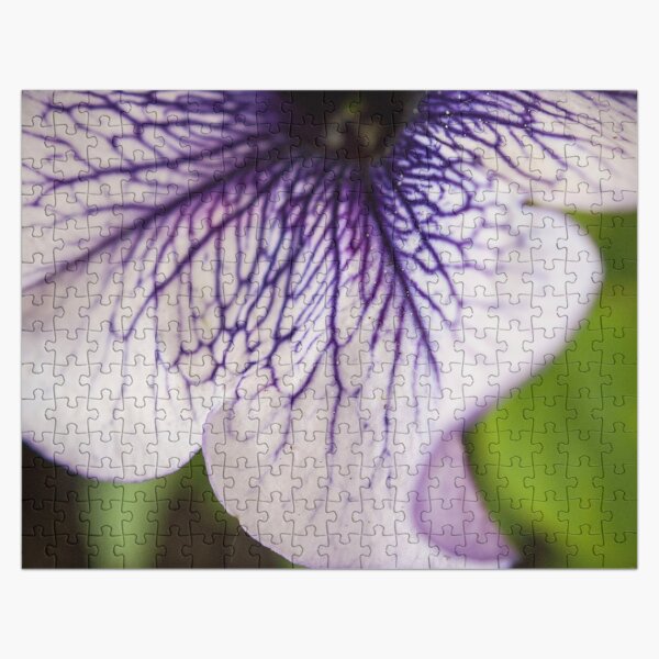 Bottom Purple-veined Petunia Petal Jigsaw Puzzle
