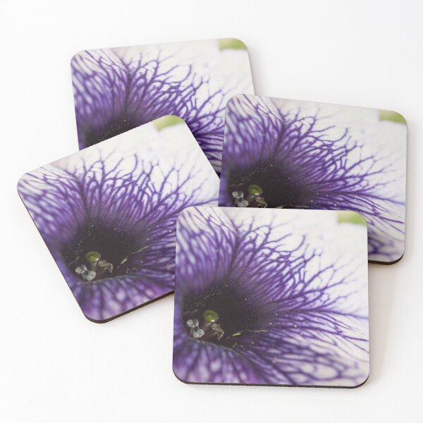 Purple-veined Petunia Coasters (Set of 4)