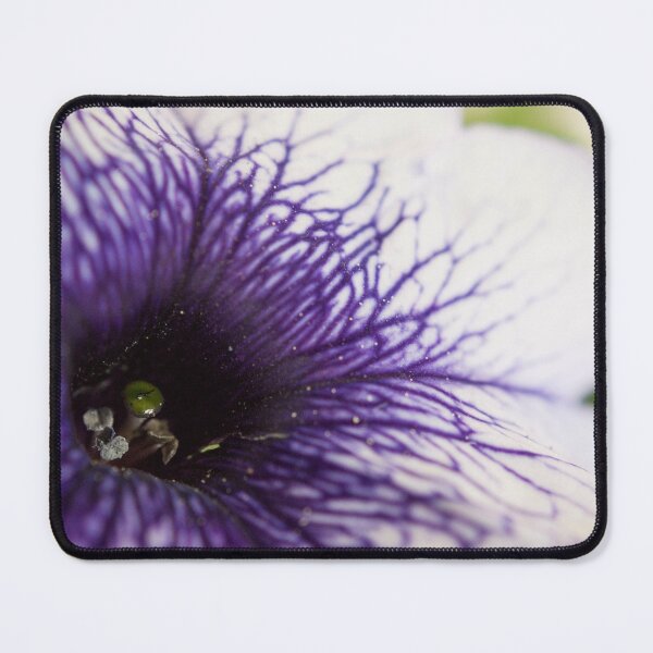 Item preview, Purple-veined Petunia designed and sold by mirandaburski.