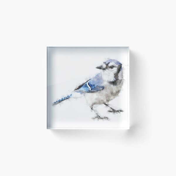 Item preview, Blue Jay Watercolour Artwork  designed and sold by Typeglyphs.
