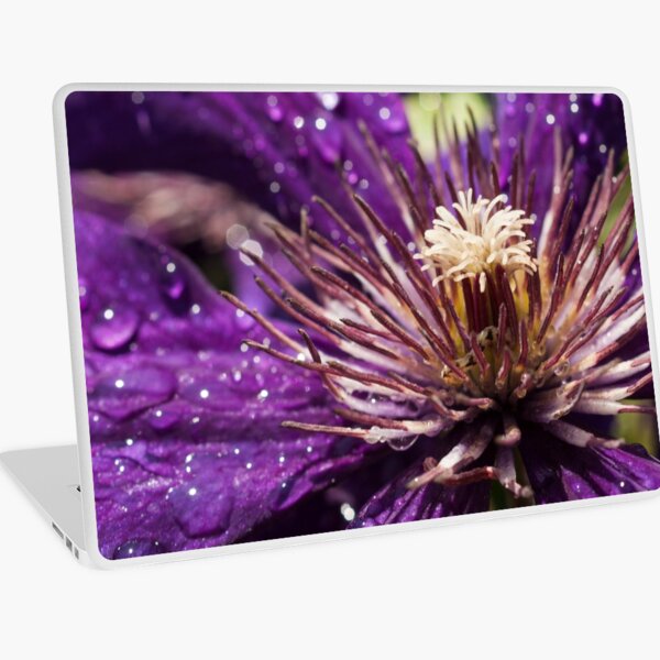 Dew Drops on Purple Flower Laptop Skin