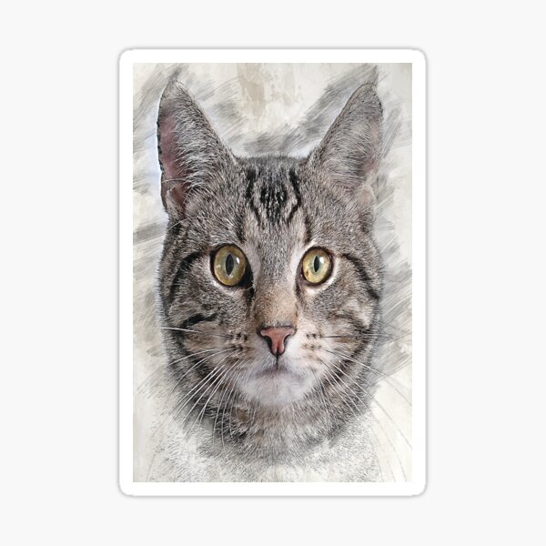 Artikel-Vorschau von Tabby-Katzenskizze - hier Kitty Meow Meow, designt und verkauft von aventi24.