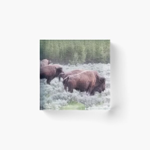 Item preview, Roaming Yellowstone designed and sold by Rebecca Jane.