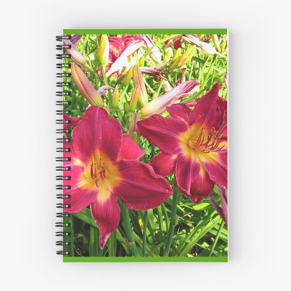 Item preview, Red daylilies in a summer garden designed and sold by Momentary.