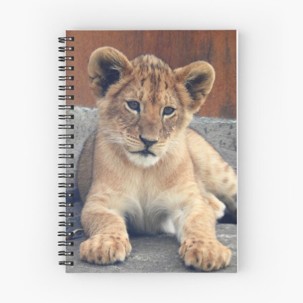 Item preview, Lion Cub designed and sold by kirstybush.