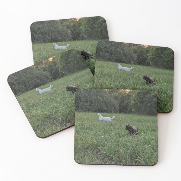 Item preview, Great Cat Explorers designed and sold by SquirrelCreate.