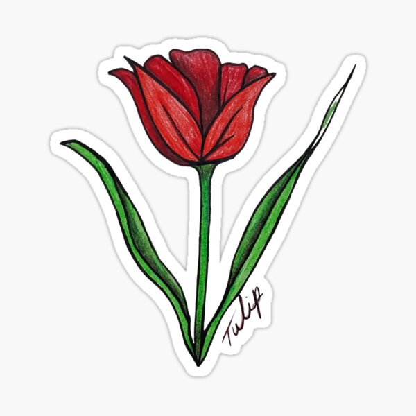 Tulip Sticker