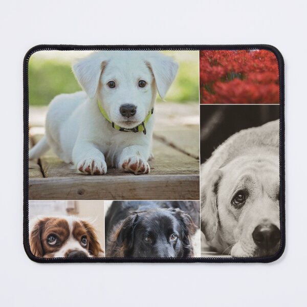 Item preview, Classical Dogs Montage Set #1 designed and sold by Krispsm.