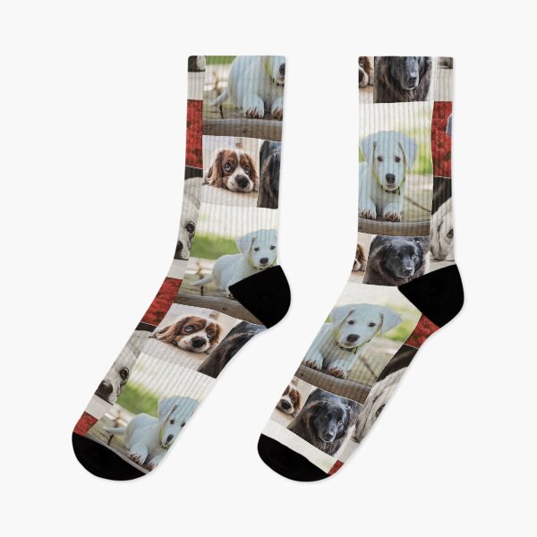 Item preview, Classical Dogs Montage Set #1 designed and sold by Krispsm.