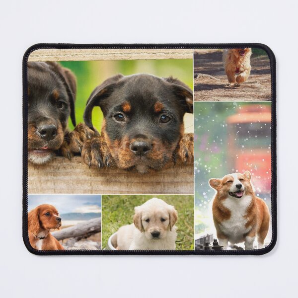 Item preview, Classical Dogs Montage Set #2 designed and sold by Krispsm.