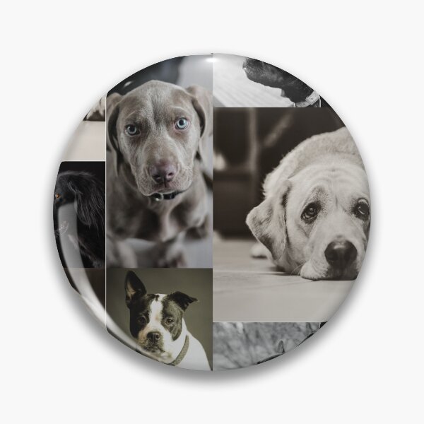 Item preview, Classical Dogs Montage Set #4 designed and sold by Krispsm.