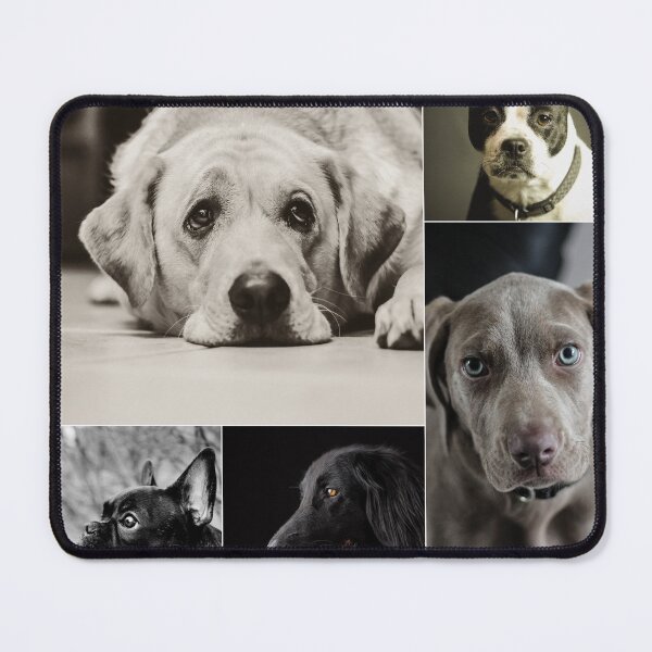 Item preview, Classical Dogs Montage Set #4 designed and sold by Krispsm.