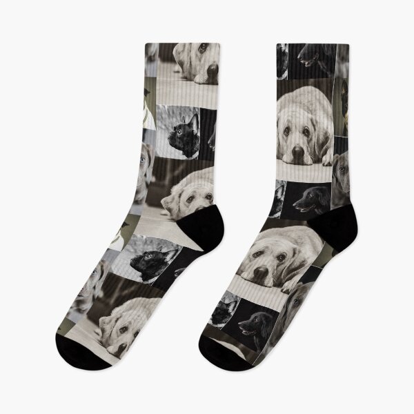 Item preview, Classical Dogs Montage Set #4 designed and sold by Krispsm.