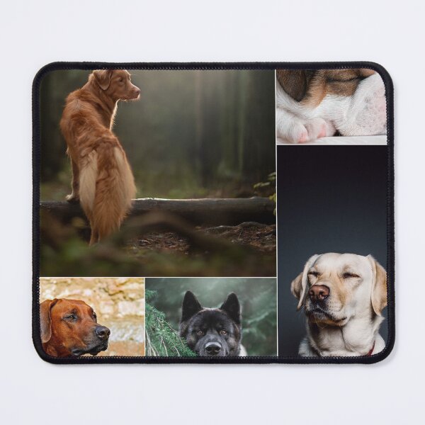 Item preview, Classical Dogs Montage Set #5 designed and sold by Krispsm.
