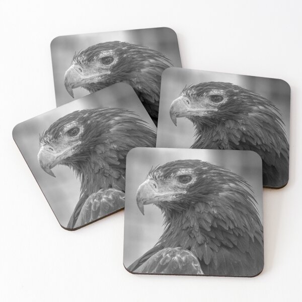 Item preview, Wedgetailed Eagle designed and sold by CathsImages.