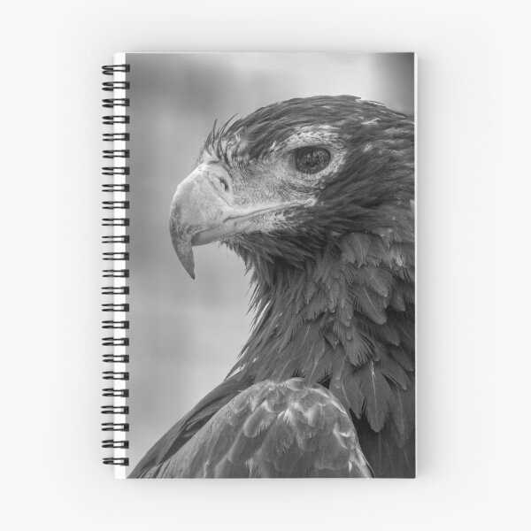 Item preview, Wedgetailed Eagle designed and sold by CathsImages.