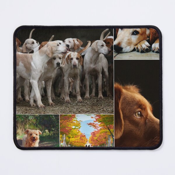 Item preview, Classical Dogs Montage Set #6 designed and sold by Krispsm.