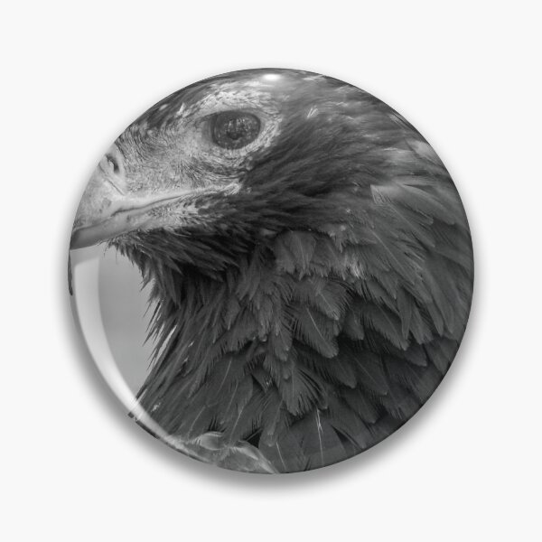 Item preview, Wedgetailed Eagle designed and sold by CathsImages.