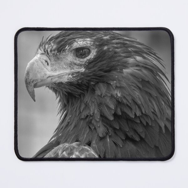 Item preview, Wedgetailed Eagle designed and sold by CathsImages.