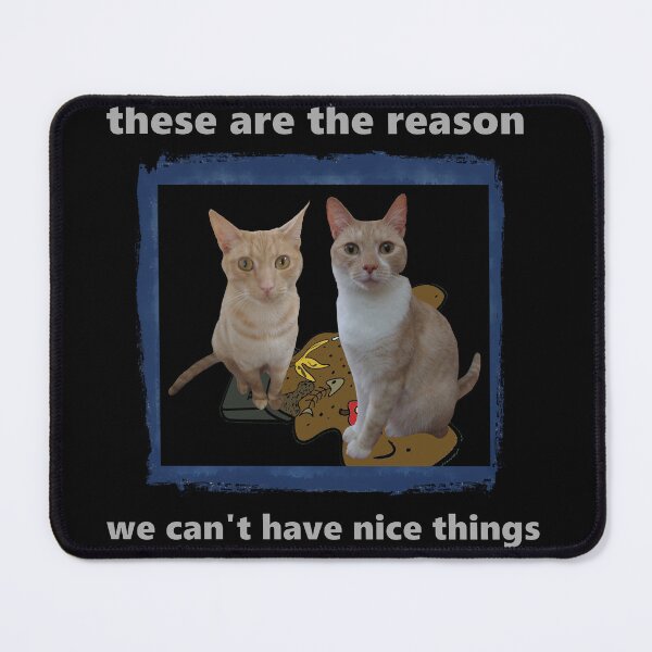 Item preview, Cat owners can't have nice things designed and sold by Mike's Designs.
