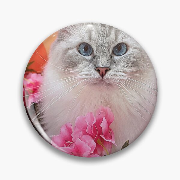 Item preview, Pretty kitty ragdoll queen designed and sold by Fluffycat2020.