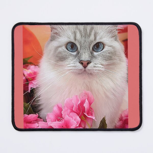 Item preview, Pretty kitty ragdoll queen designed and sold by Fluffycat2020.