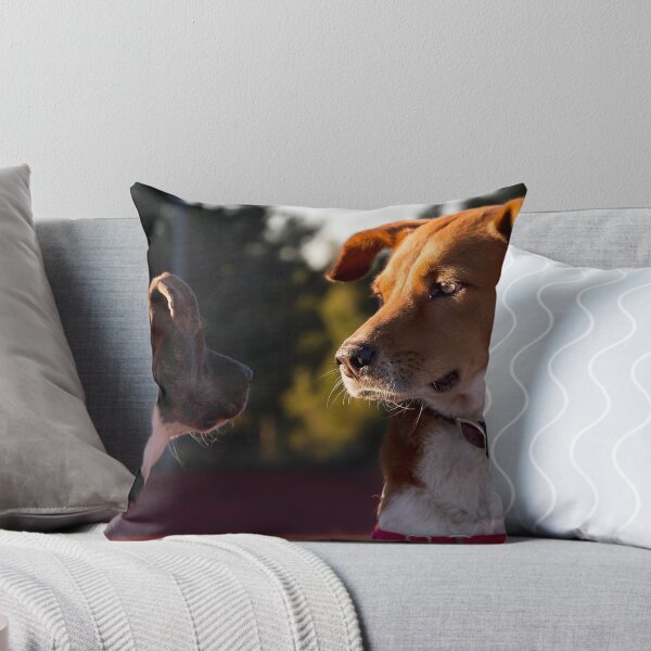 Item preview, Curiosity killed the cat, but for a while I was a suspect. designed and sold by Alex Preiss.