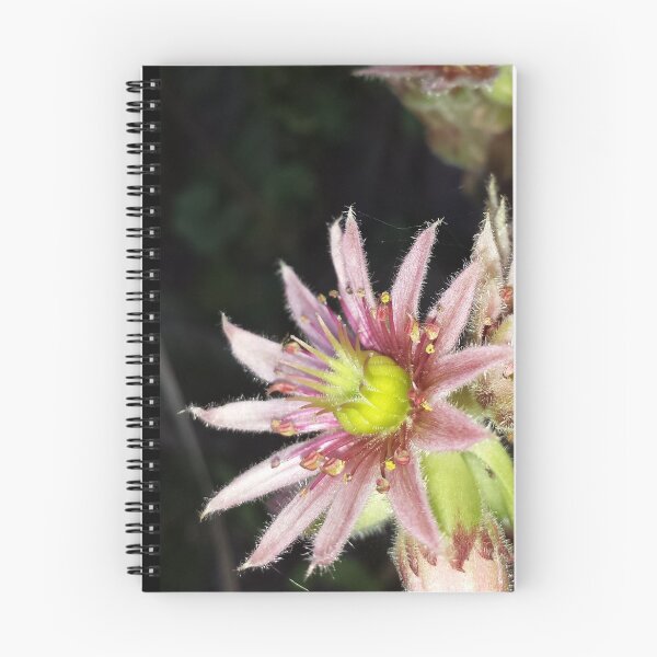Item preview, furry pink  designed and sold by Helga Binder.
