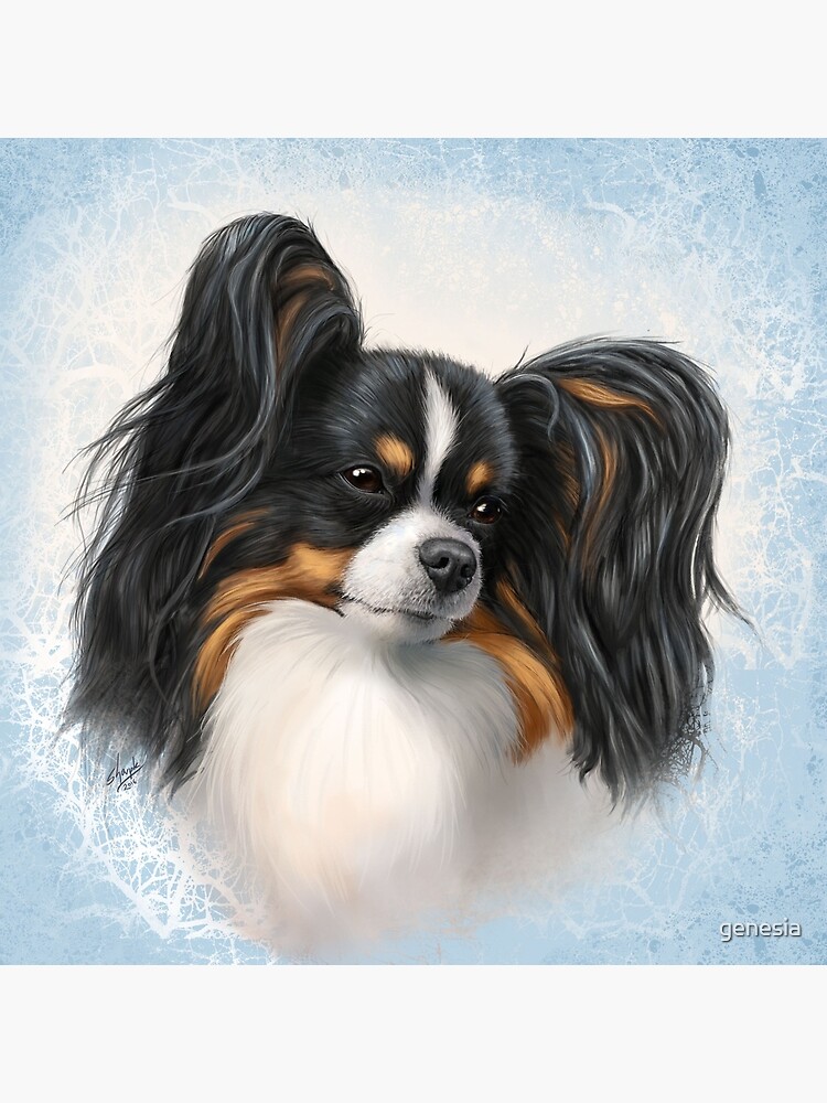 Tri Color Papillon Portrait Sky | Tote Bag