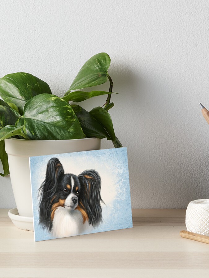 Tri Color Papillon Portrait Sky | Tote Bag