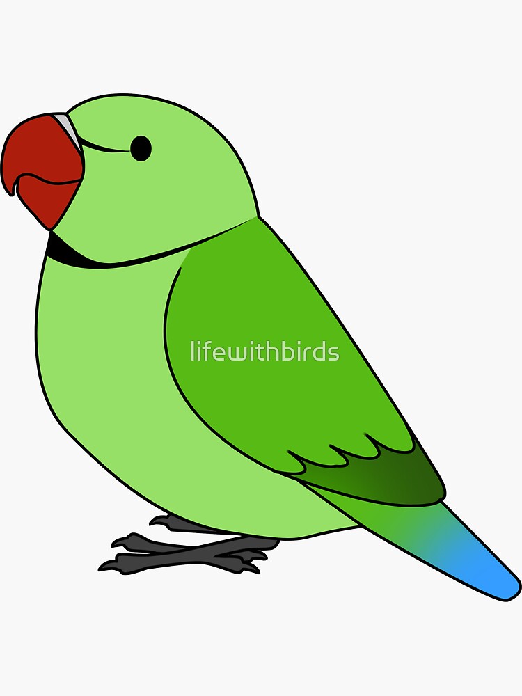 Green Parrot : Free Download, Borrow, and Streaming : Internet Archive