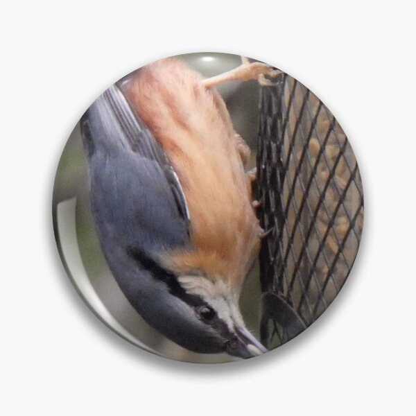 Item preview, nuthatch designed and sold by KathleenDawson.