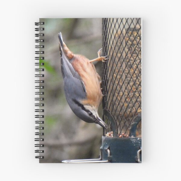 Item preview, nuthatch designed and sold by KathleenDawson.