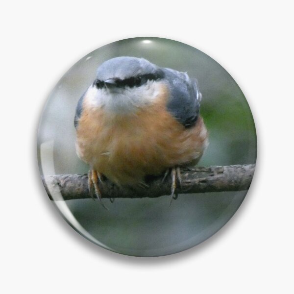 Item preview, nuthatch designed and sold by KathleenDawson.