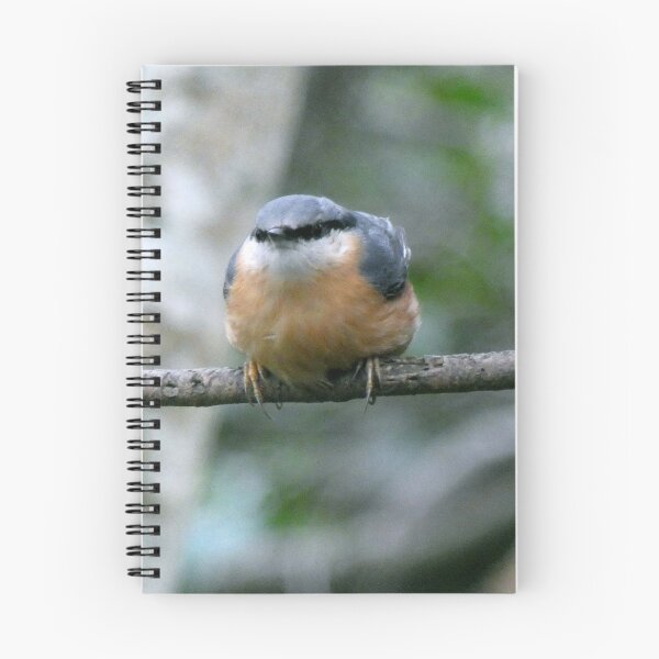Item preview, nuthatch designed and sold by KathleenDawson.