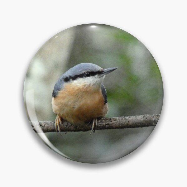 Item preview, nuthatch designed and sold by KathleenDawson.