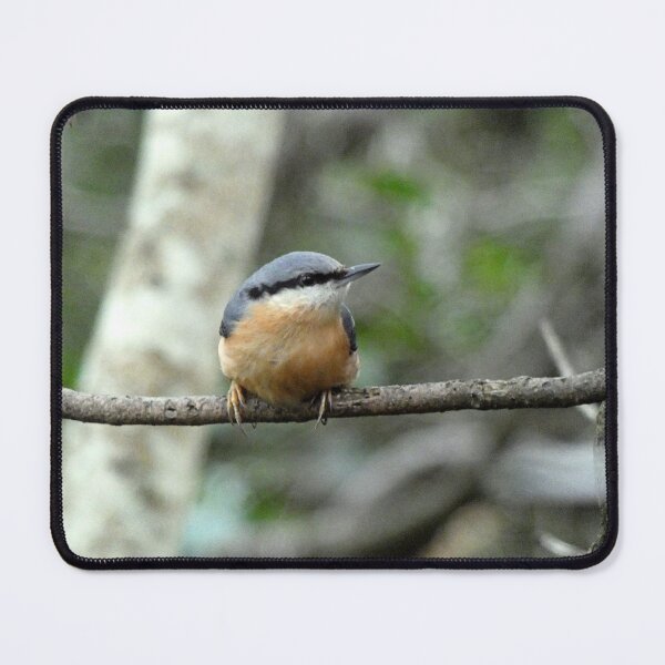 Item preview, nuthatch designed and sold by KathleenDawson.