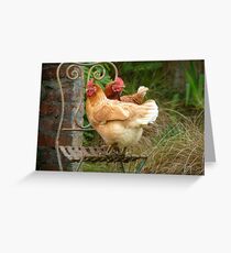 We Are The "CHAIRful" Chooks Of Tranquillity! Chooks - NZ Greeting Card