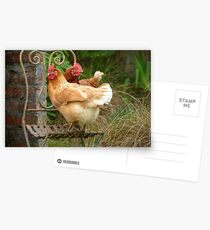 We Are The "CHAIRful" Chooks Of Tranquillity! Chooks - NZ Postcards