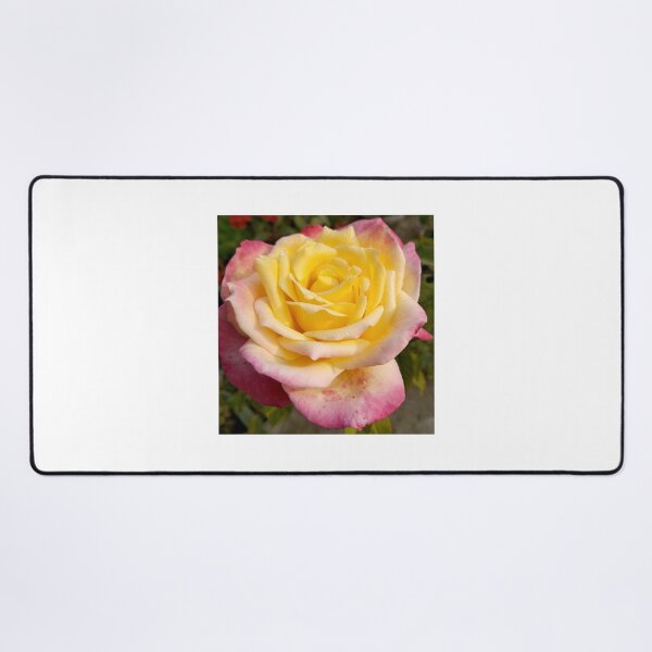 Item preview, Colorful rose flower design designed and sold by Shikshart.