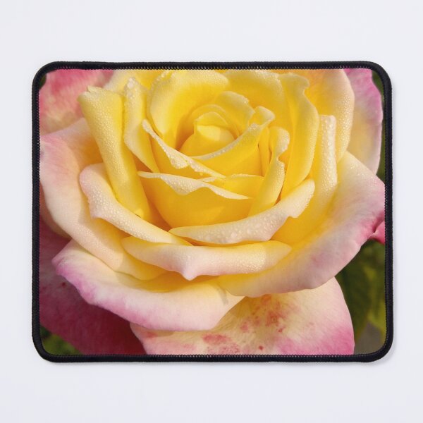 Item preview, Colorful rose flower design designed and sold by Shikshart.