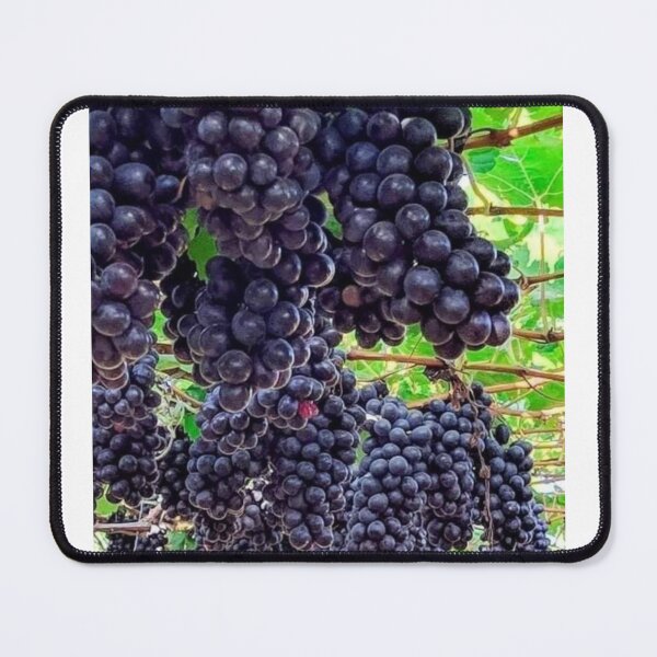 Item preview, Black Grapes designed and sold by Saiamrita123.