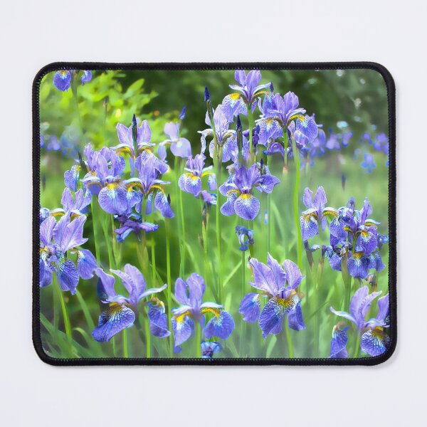 Item preview, Misty Blue Irises designed and sold by Alisonchambers2.
